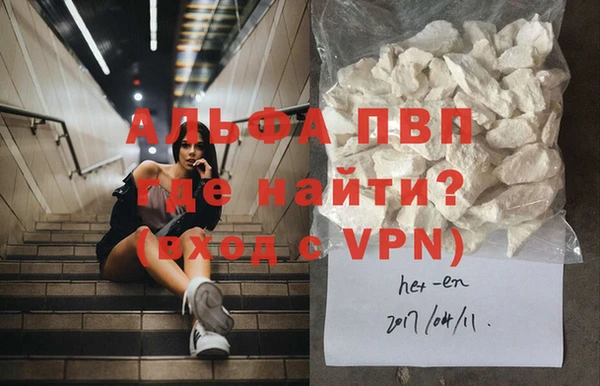 твердый Абаза