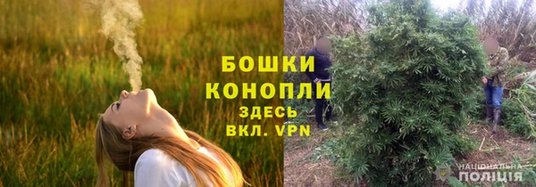 твердый Абаза
