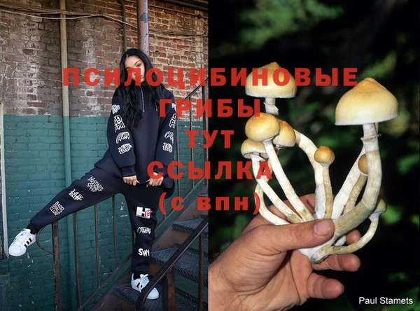 твердый Абаза