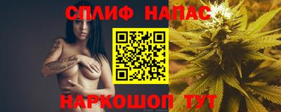 стафф Берёзовский